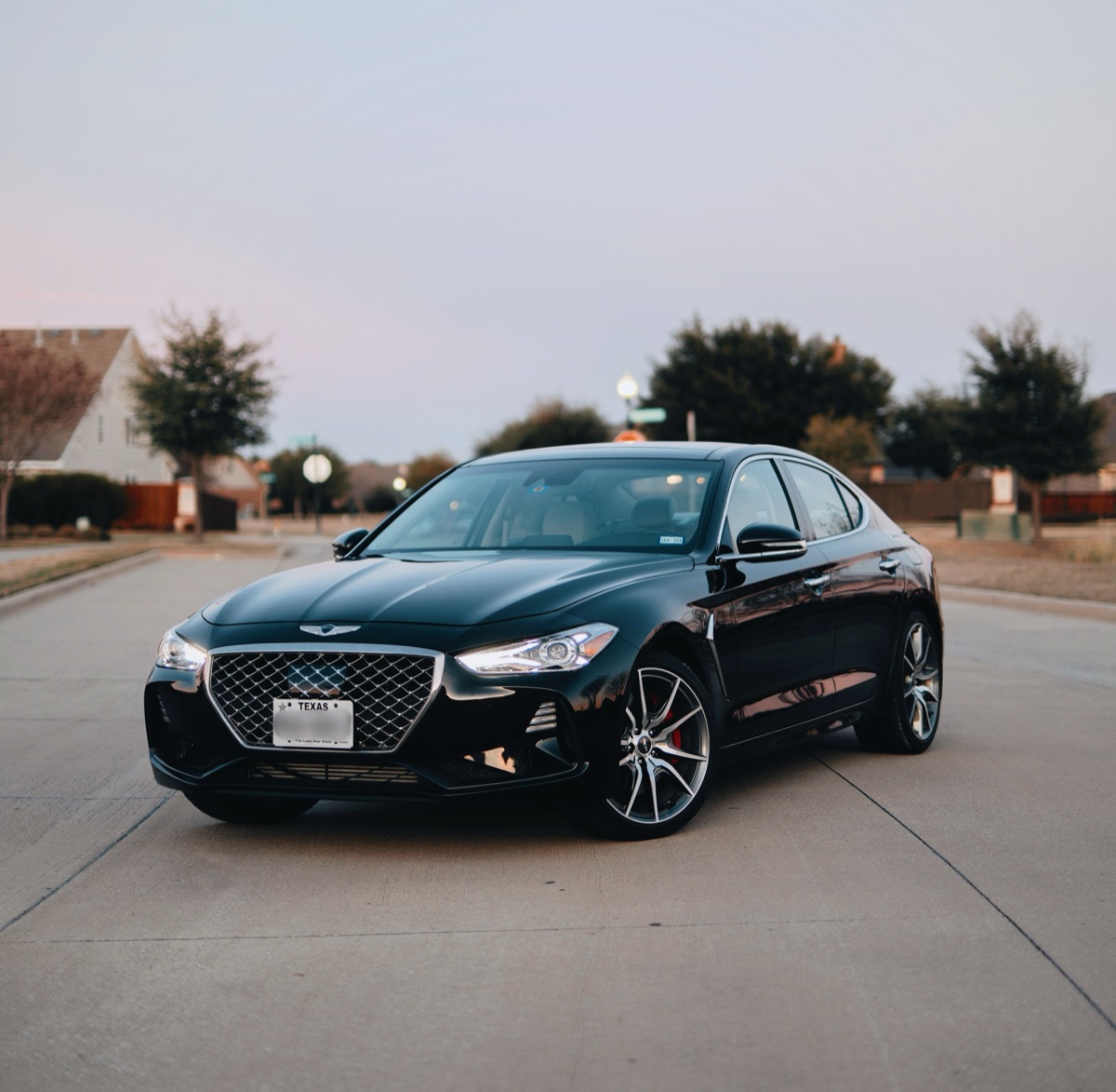 About Newsom Car Hire